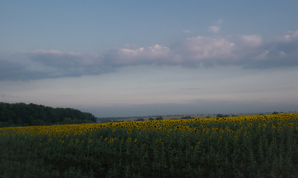 Фотографія *** / Евгений Шамай / photographers.ua