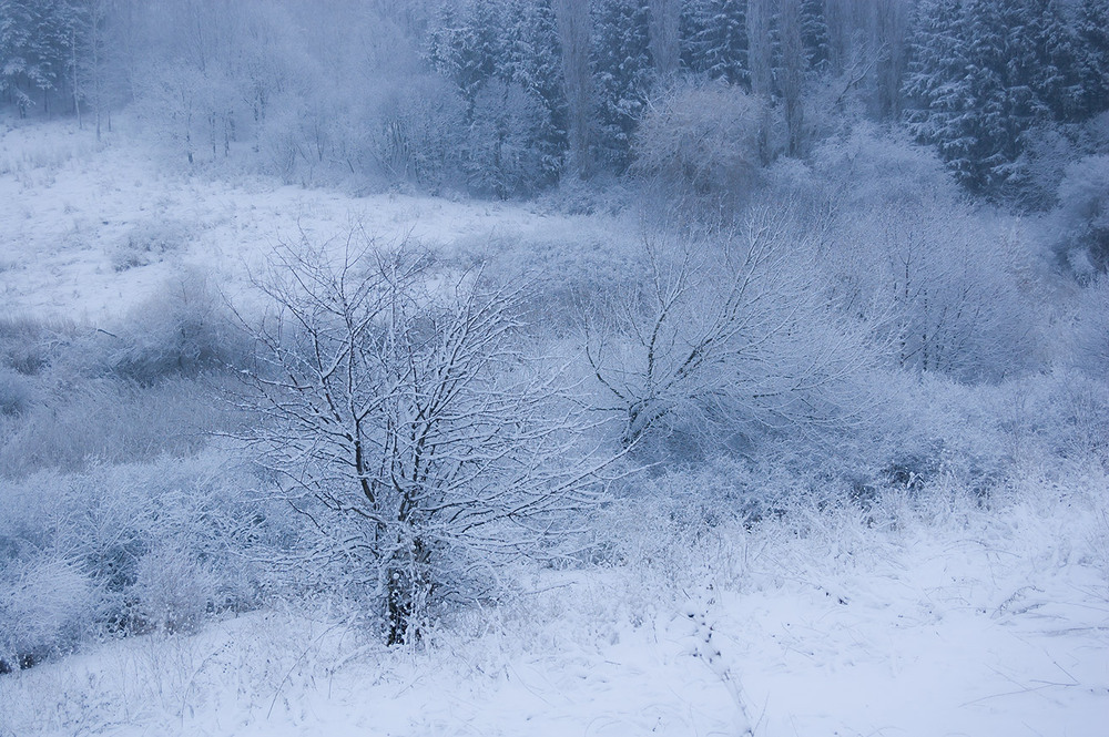 Фотографія *** / Евгений Шамай / photographers.ua