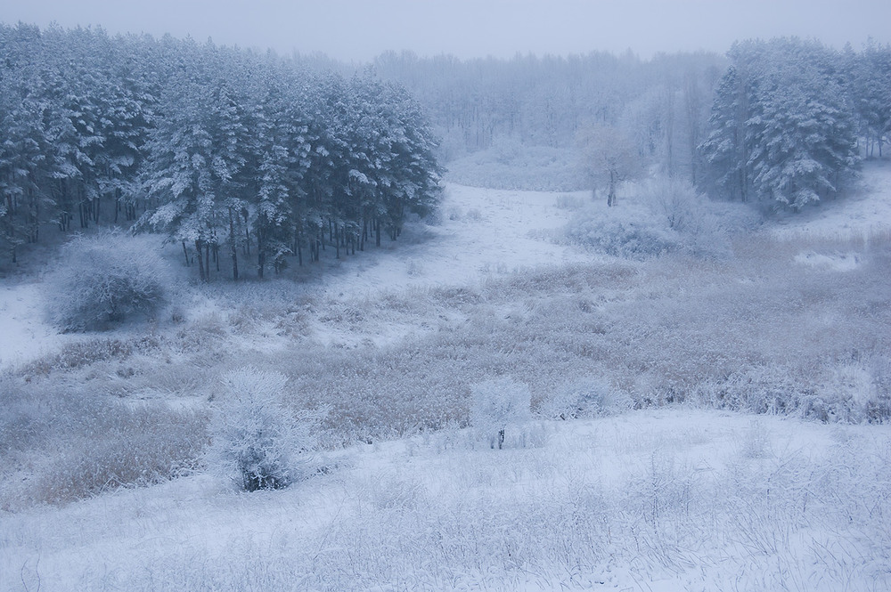 Фотографія *** / Евгений Шамай / photographers.ua