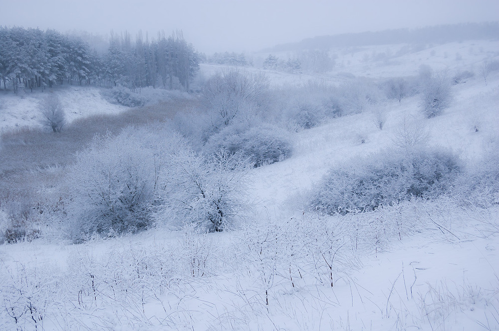 Фотографія *** / Евгений Шамай / photographers.ua