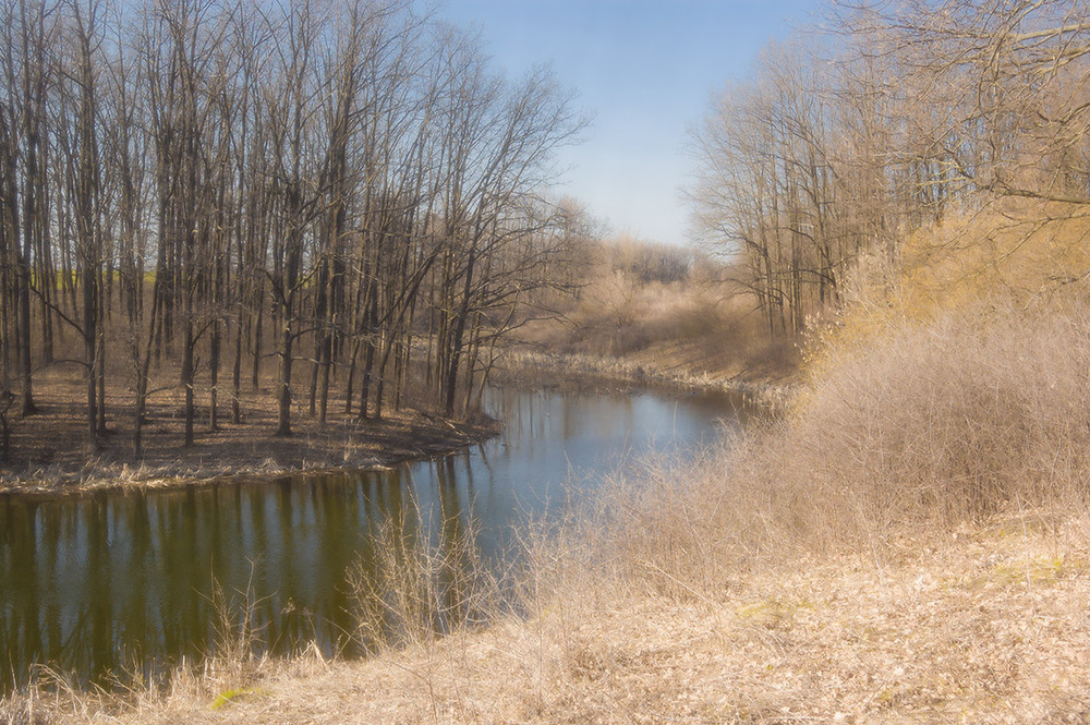 Фотографія *** / Евгений Шамай / photographers.ua