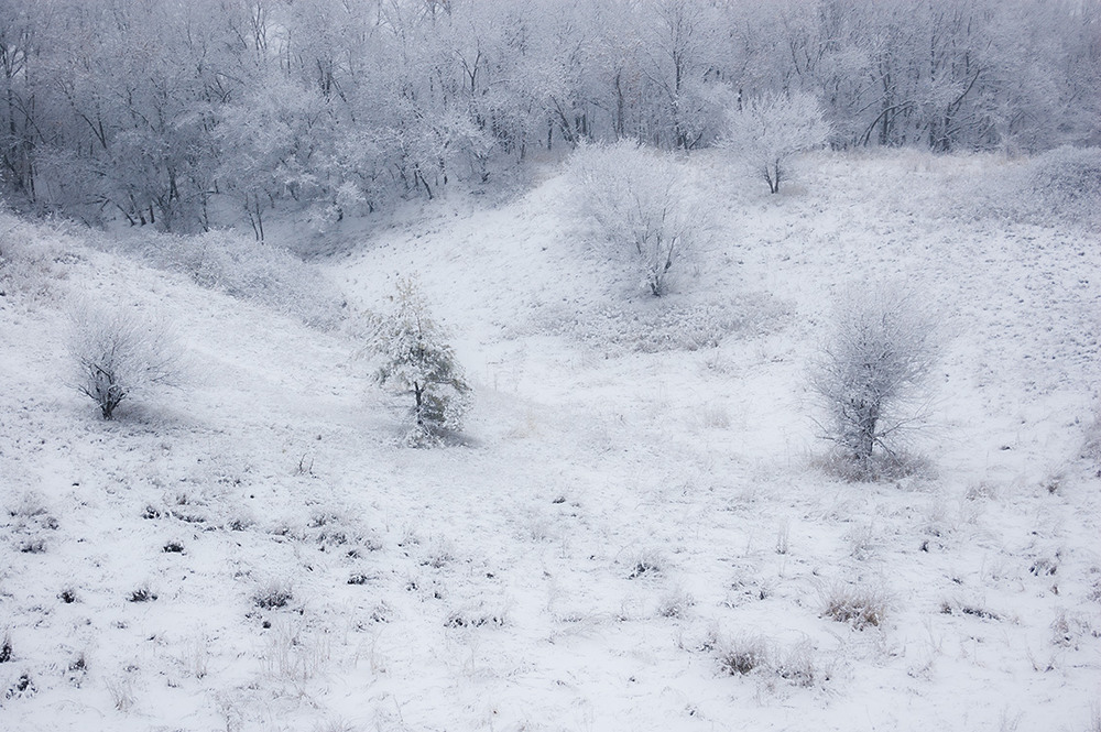 Фотографія *** / Евгений Шамай / photographers.ua