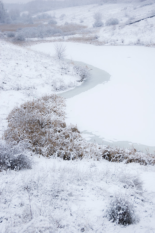 Фотографія *** / Евгений Шамай / photographers.ua