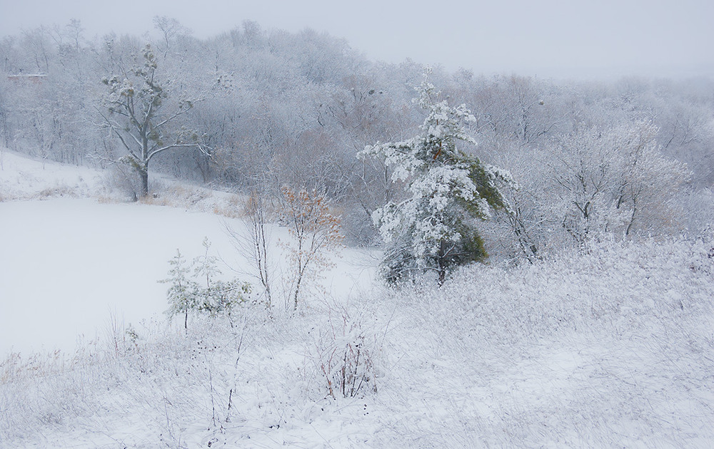 Фотографія *** / Евгений Шамай / photographers.ua