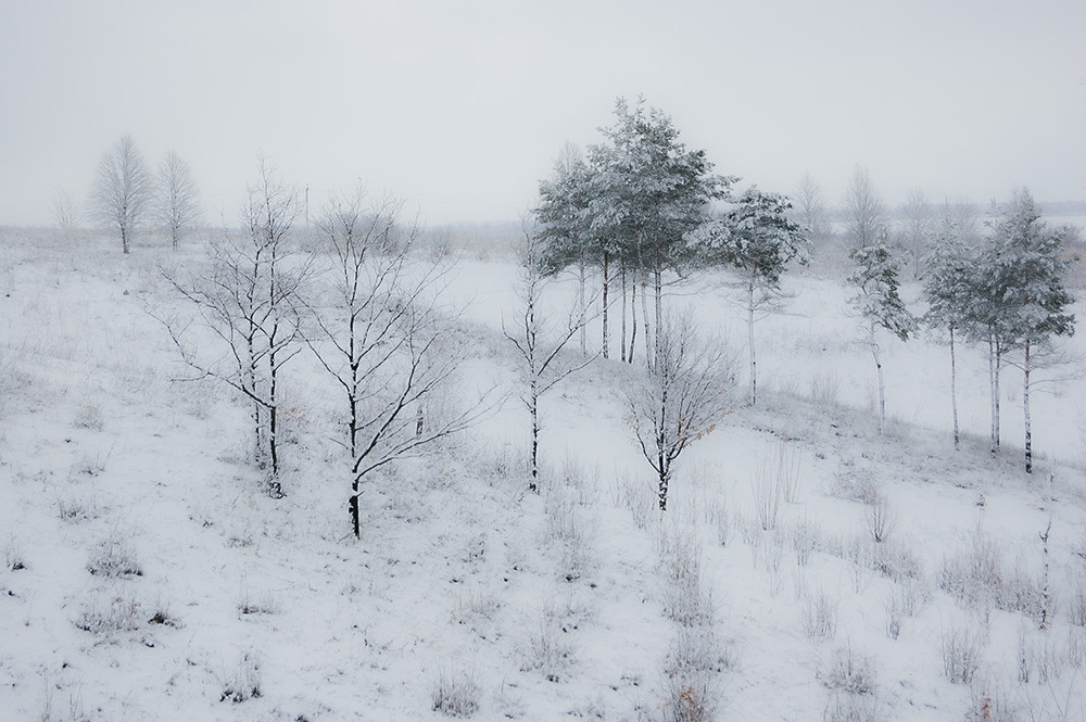 Фотографія *** / Евгений Шамай / photographers.ua