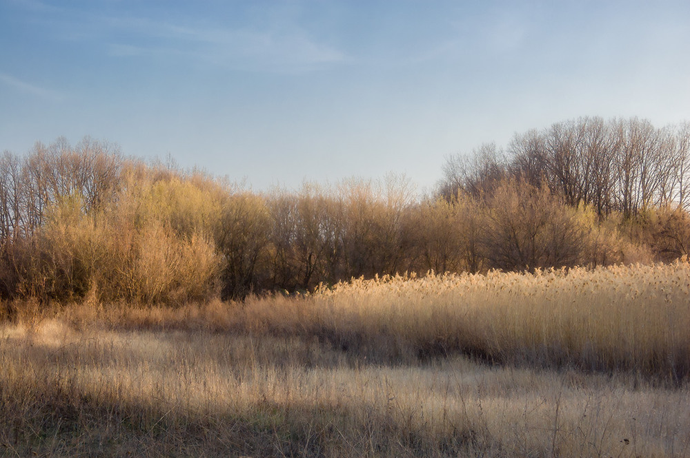 Фотографія *** / Евгений Шамай / photographers.ua