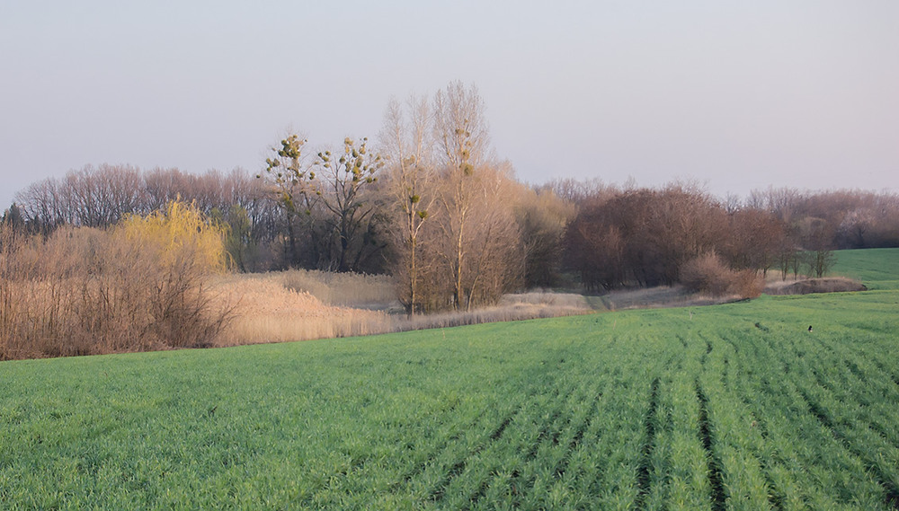 Фотографія *** / Евгений Шамай / photographers.ua
