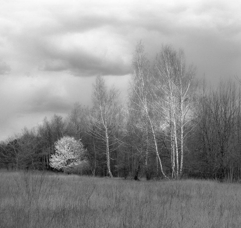 Фотографія *** / Евгений Шамай / photographers.ua
