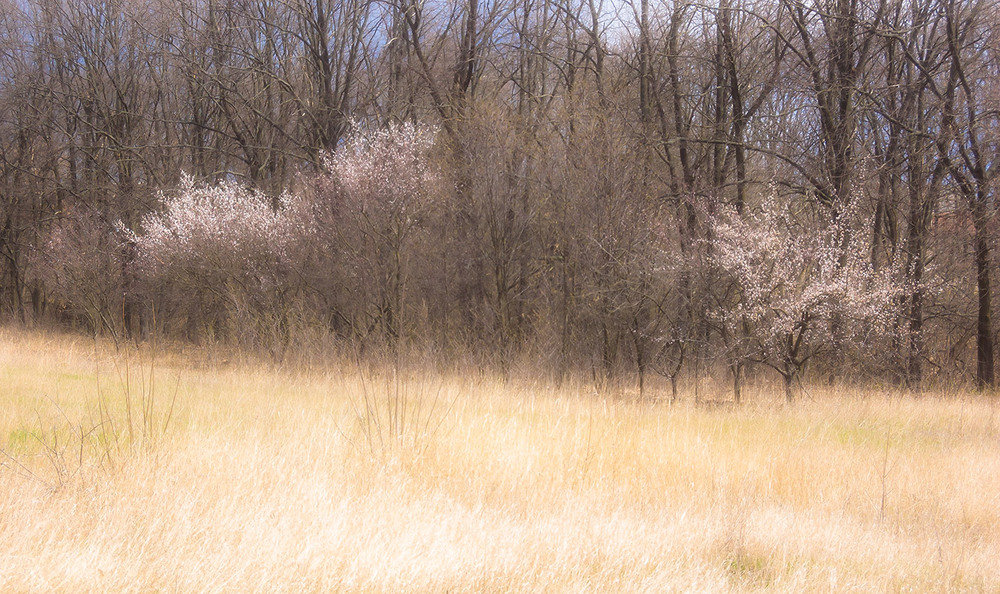 Фотографія *** / Евгений Шамай / photographers.ua