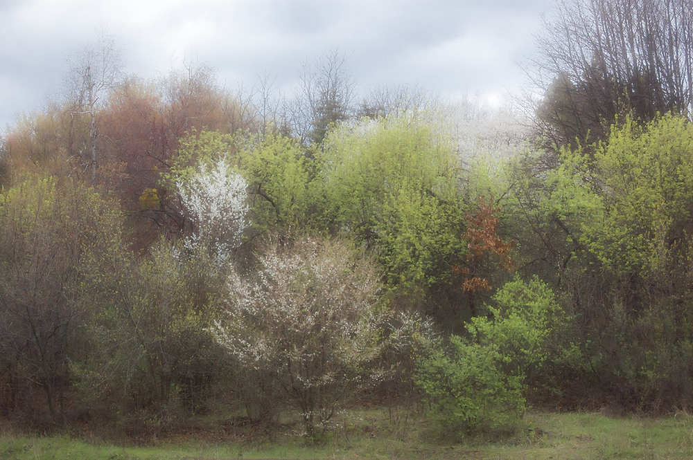 Фотографія *** / Евгений Шамай / photographers.ua