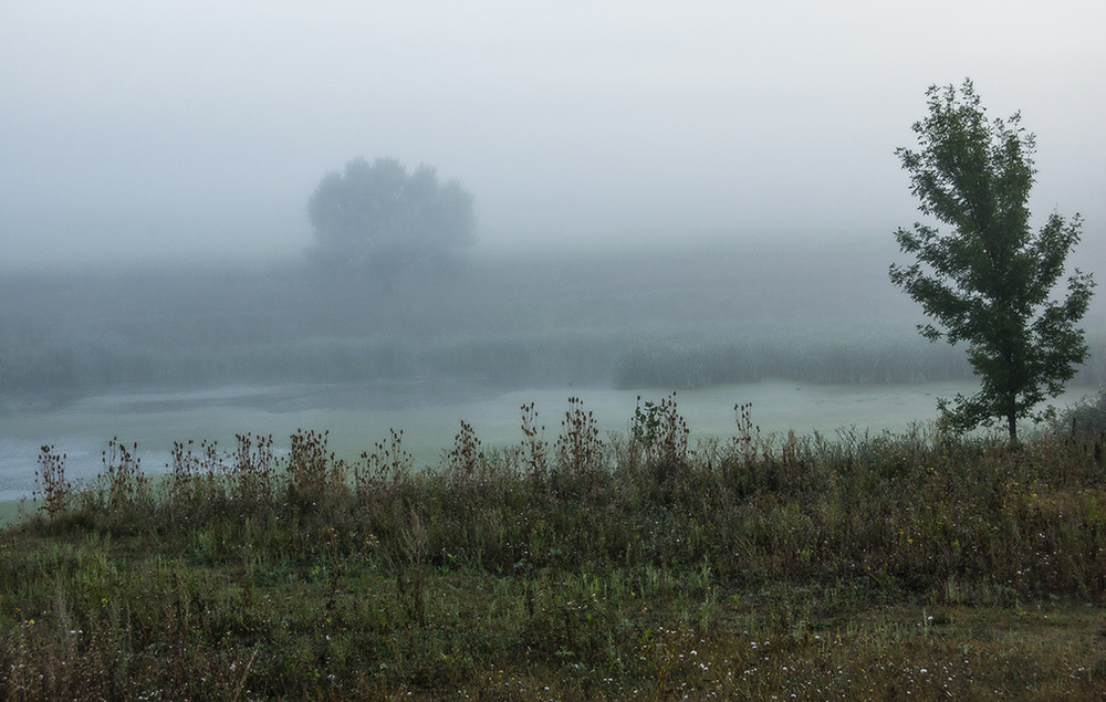 Фотографія *** / Евгений Шамай / photographers.ua