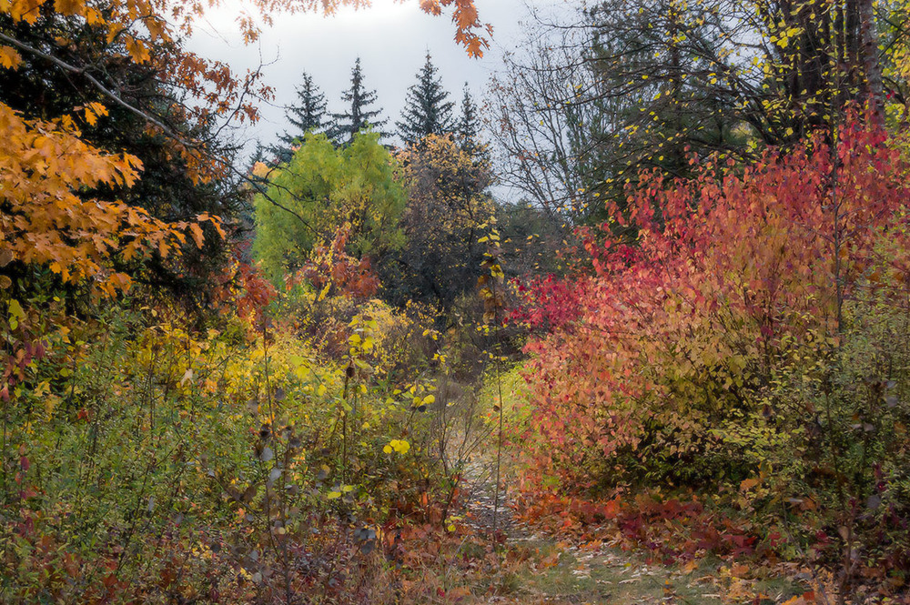 Фотографія *** / Евгений Шамай / photographers.ua