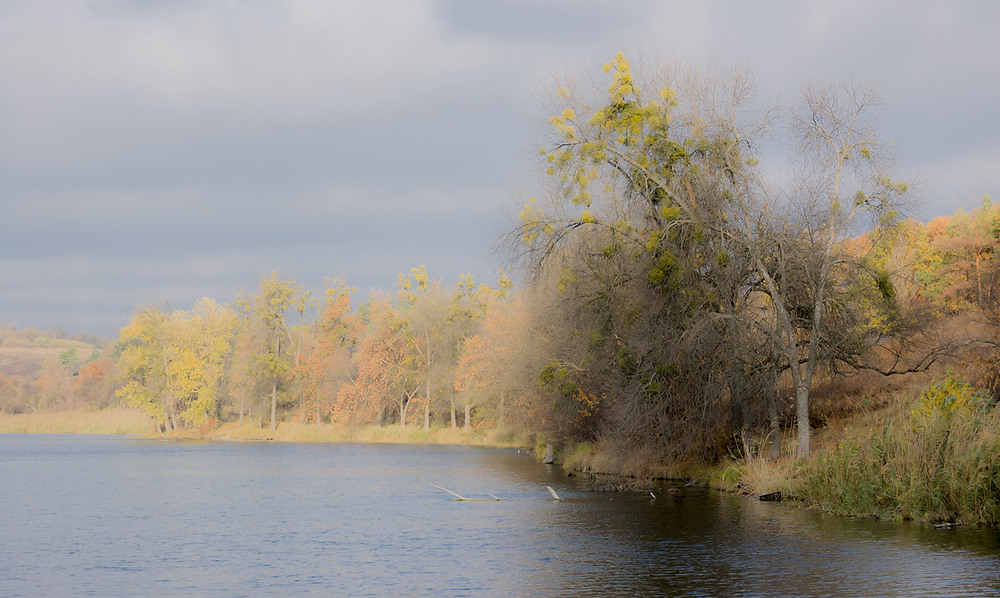 Фотографія *** / Евгений Шамай / photographers.ua