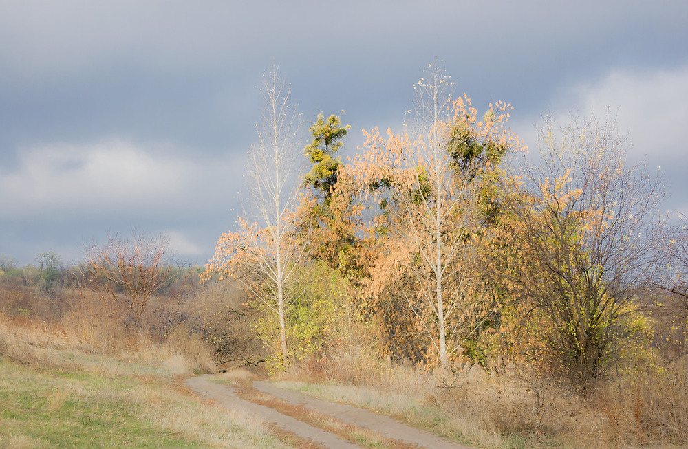 Фотографія *** / Евгений Шамай / photographers.ua