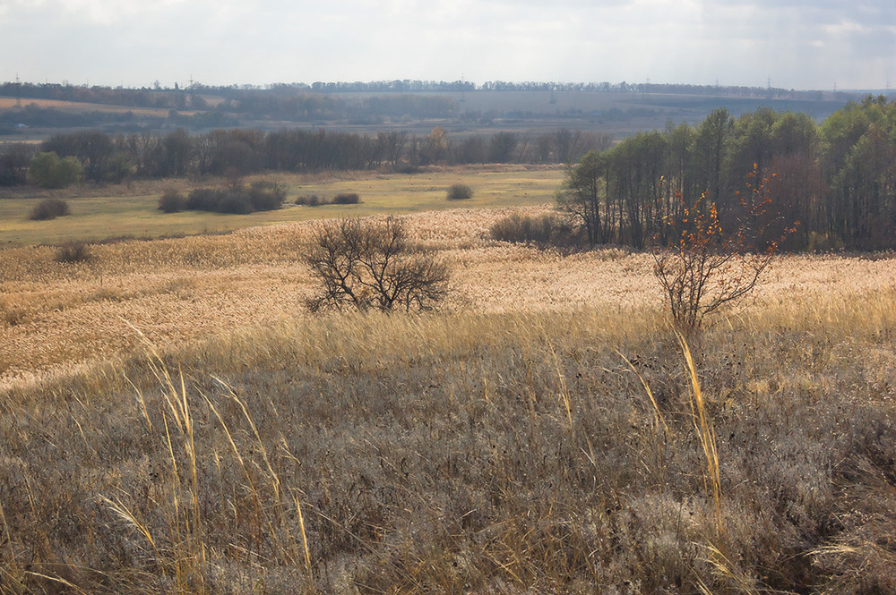 Фотографія *** / Евгений Шамай / photographers.ua