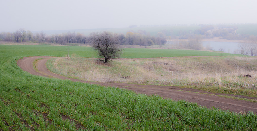 Фотографія *** / Евгений Шамай / photographers.ua