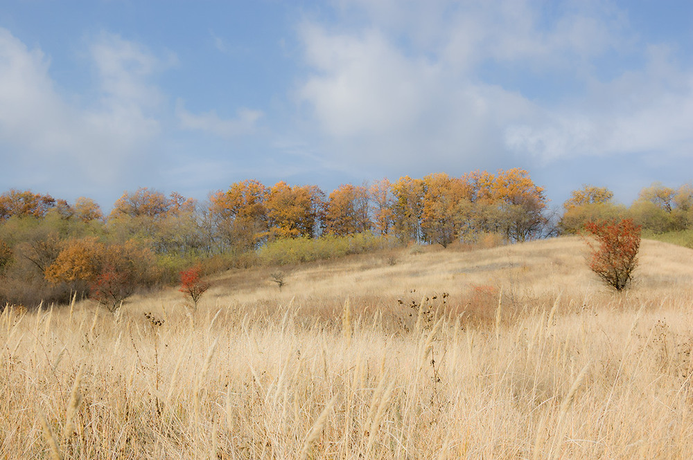 Фотографія *** / Евгений Шамай / photographers.ua