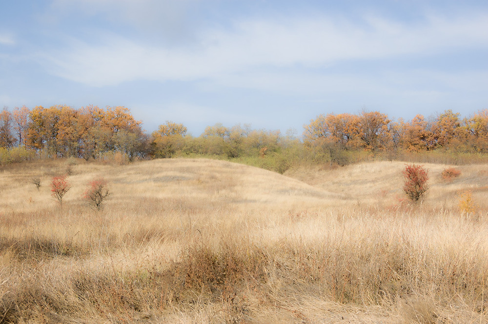 Фотографія *** / Евгений Шамай / photographers.ua