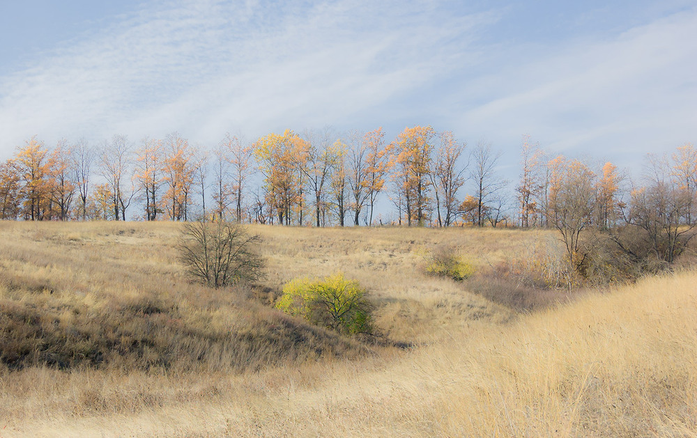 Фотографія *** / Евгений Шамай / photographers.ua