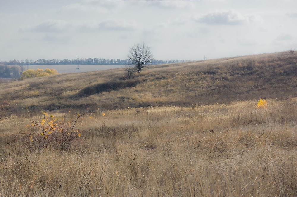 Фотографія *** / Евгений Шамай / photographers.ua