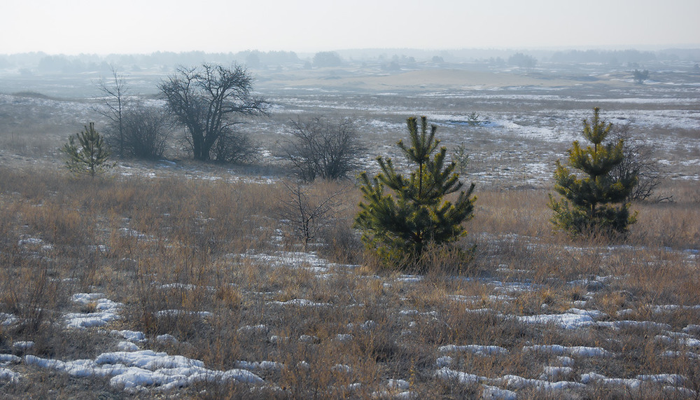 Фотографія *** / Евгений Шамай / photographers.ua