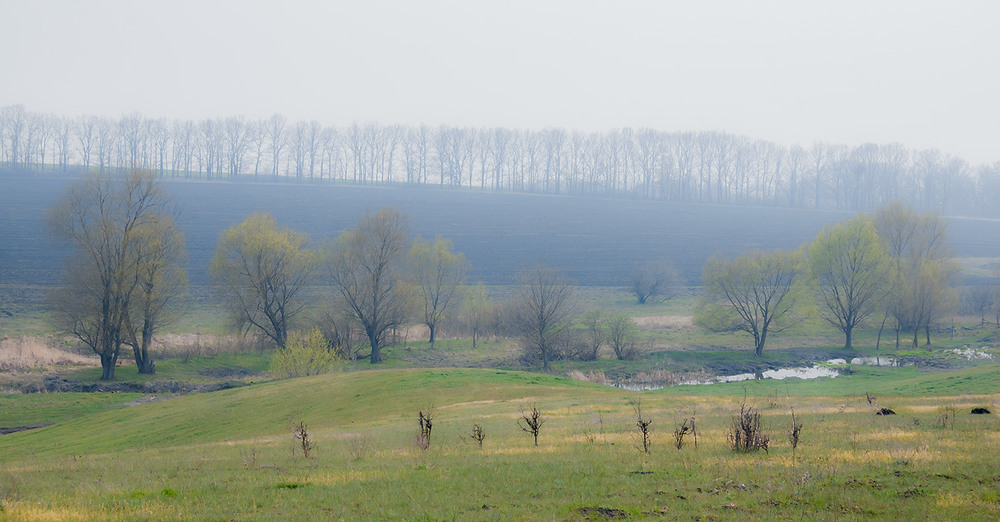 Фотографія *** / Евгений Шамай / photographers.ua