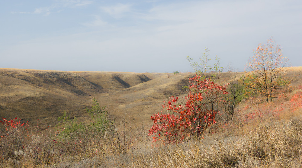 Фотографія *** / Евгений Шамай / photographers.ua