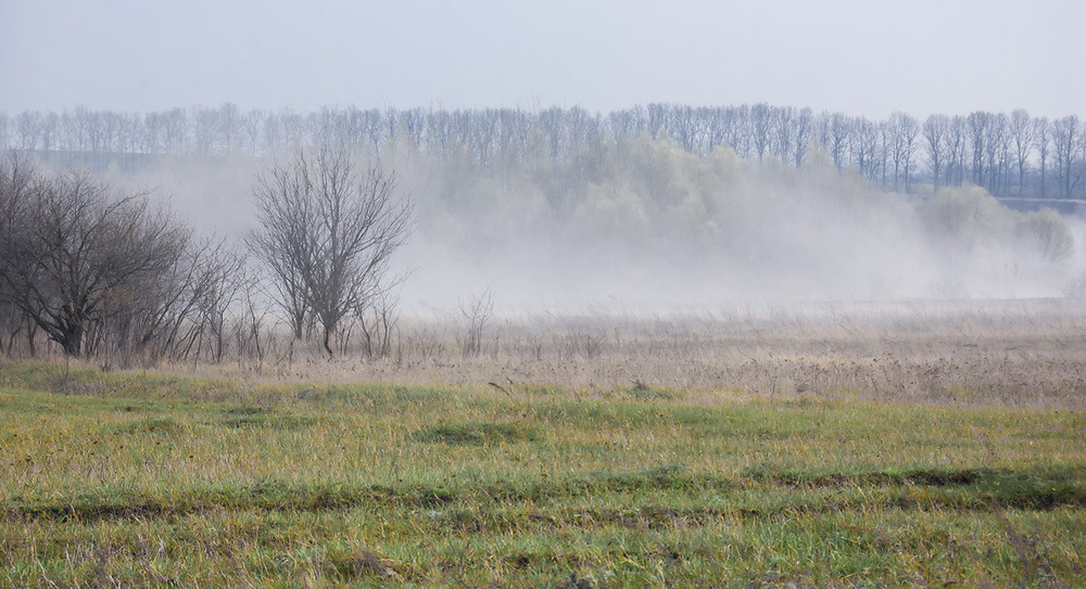 Фотографія *** / Евгений Шамай / photographers.ua