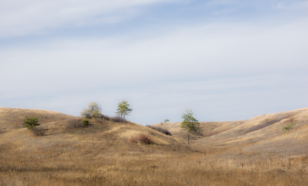 Фотографія *** / Евгений Шамай / photographers.ua