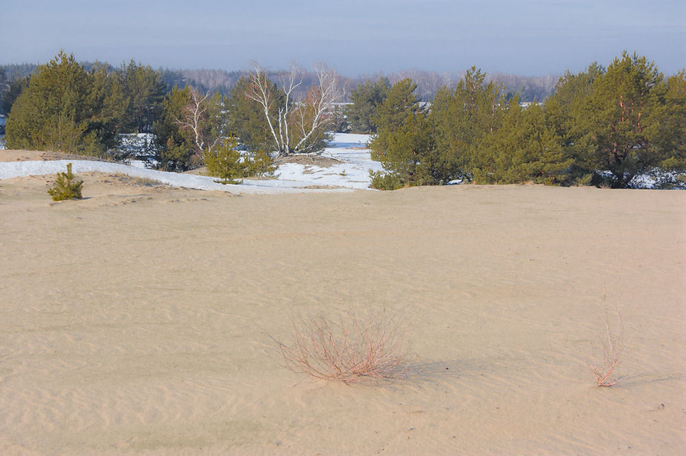 Фотографія *** / Евгений Шамай / photographers.ua