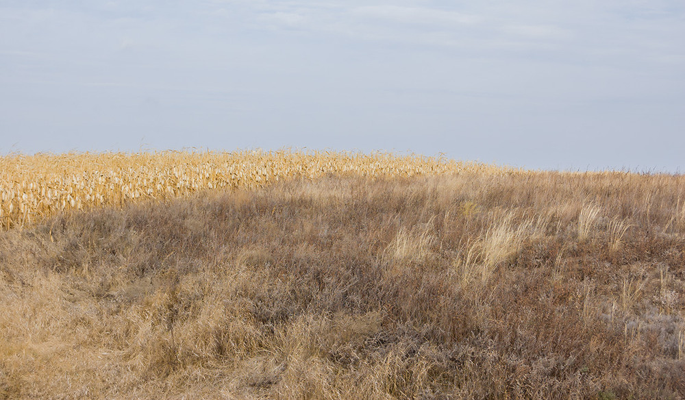 Фотографія *** / Евгений Шамай / photographers.ua