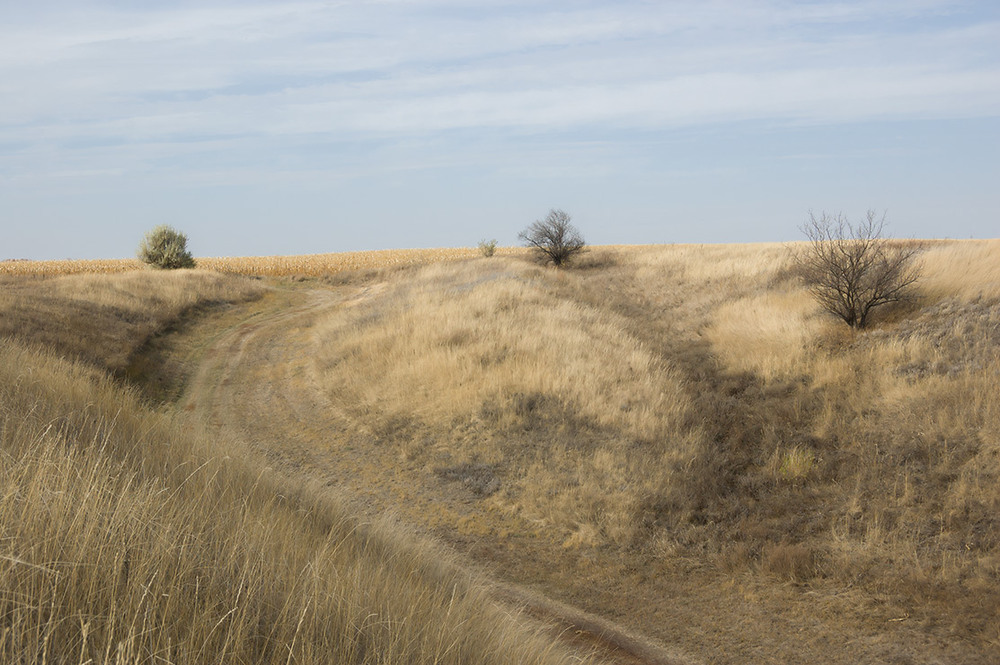 Фотографія *** / Евгений Шамай / photographers.ua