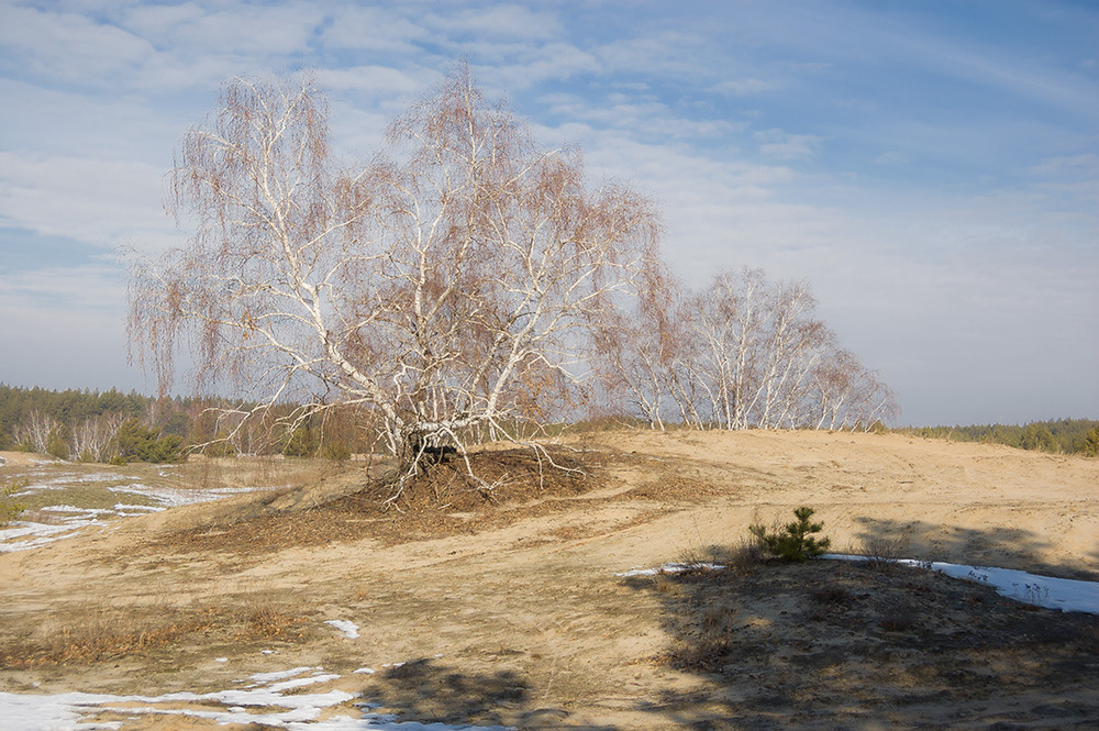 Фотографія *** / Евгений Шамай / photographers.ua