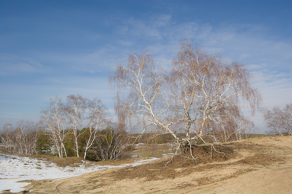 Фотографія *** / Евгений Шамай / photographers.ua