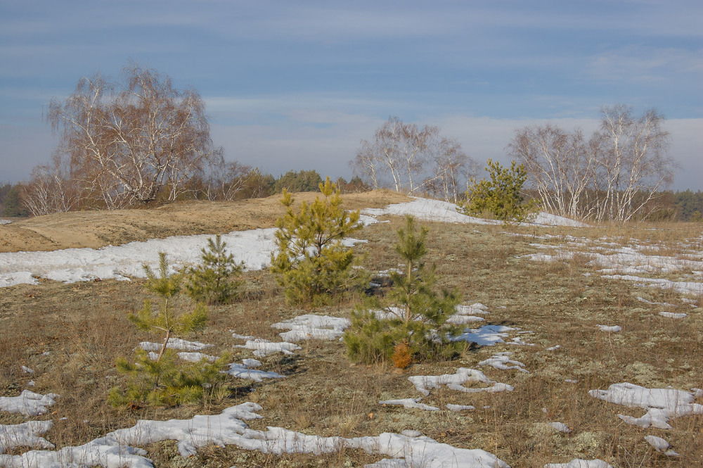 Фотографія *** / Евгений Шамай / photographers.ua