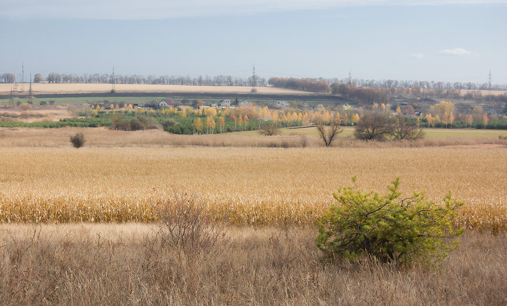 Фотографія *** / Евгений Шамай / photographers.ua