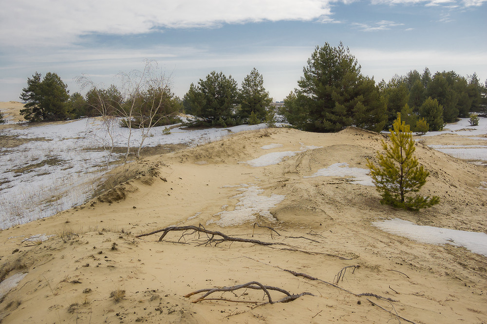 Фотографія *** / Евгений Шамай / photographers.ua