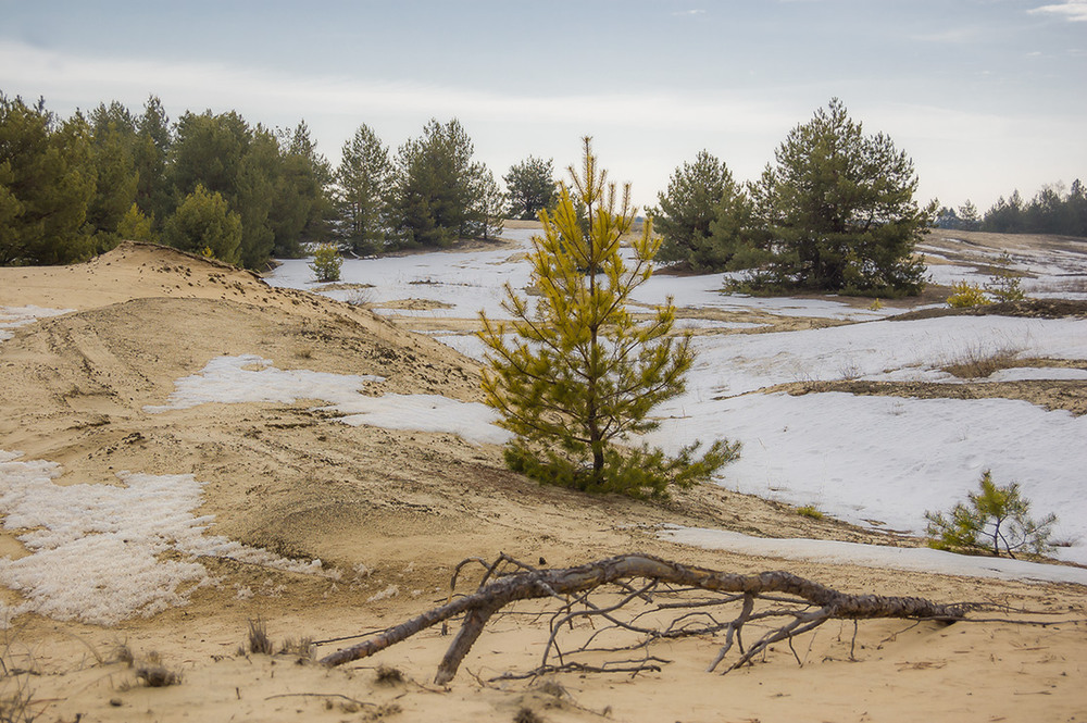 Фотографія *** / Евгений Шамай / photographers.ua