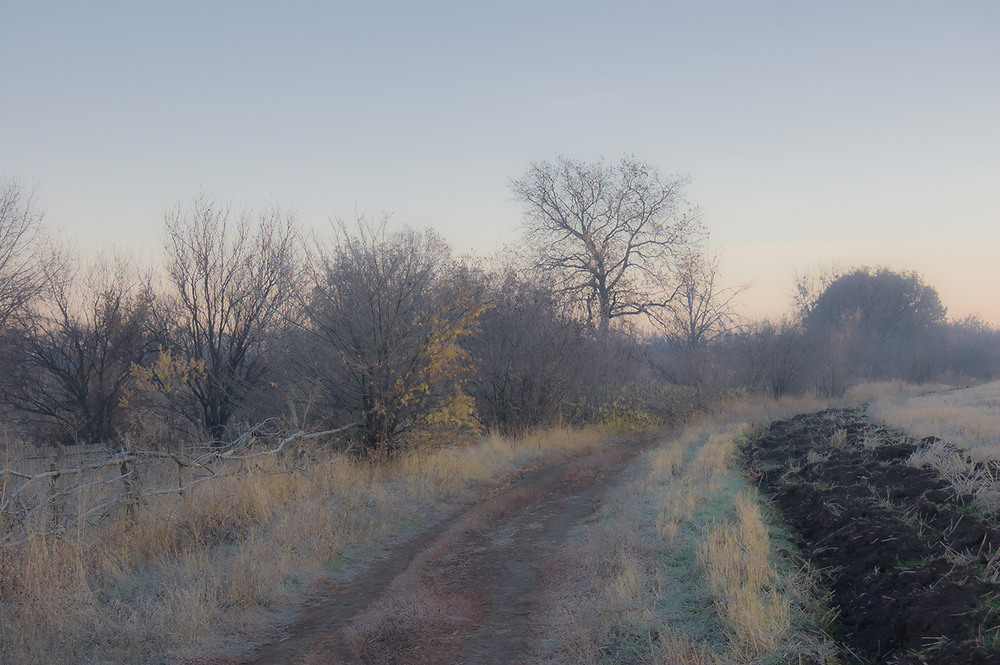 Фотографія *** / Евгений Шамай / photographers.ua