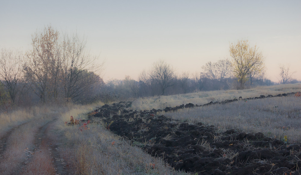 Фотографія *** / Евгений Шамай / photographers.ua