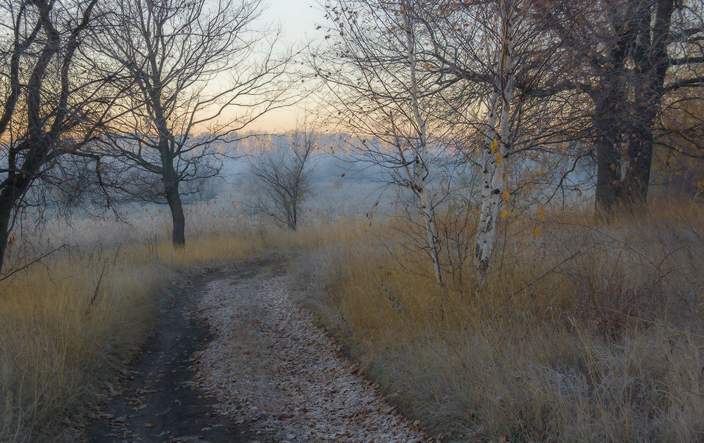 Фотографія *** / Евгений Шамай / photographers.ua