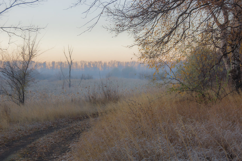 Фотографія *** / Евгений Шамай / photographers.ua