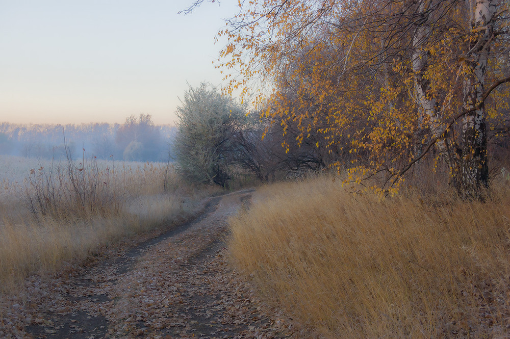 Фотографія *** / Евгений Шамай / photographers.ua