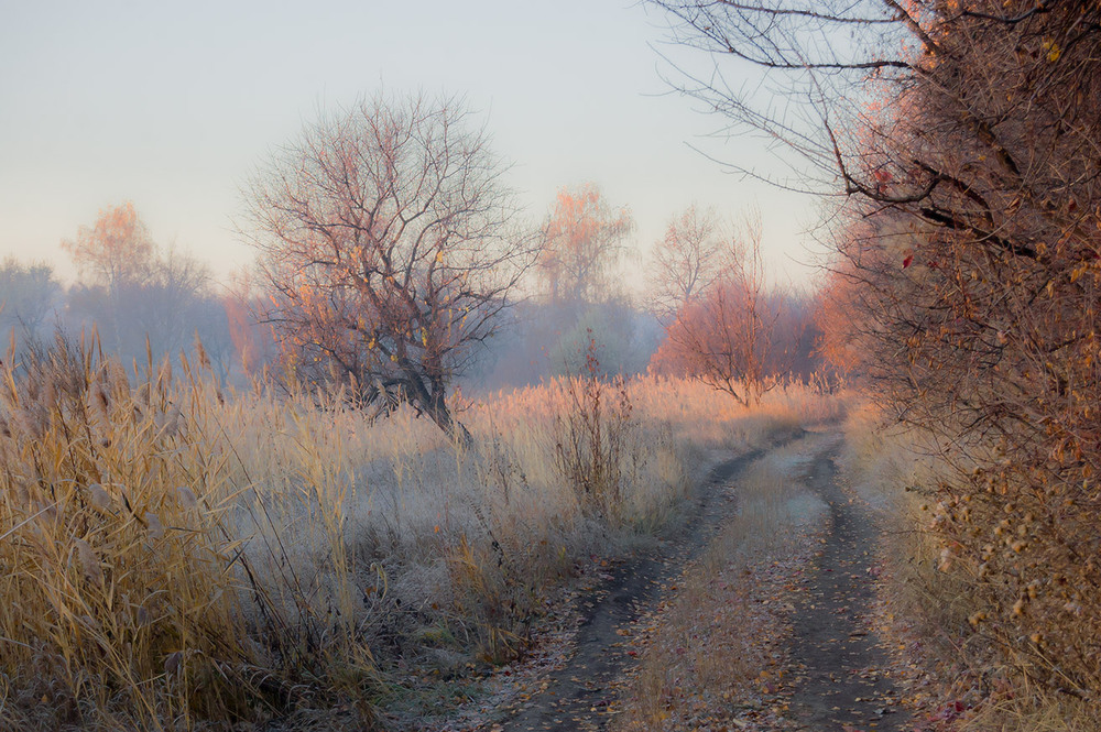 Фотографія *** / Евгений Шамай / photographers.ua