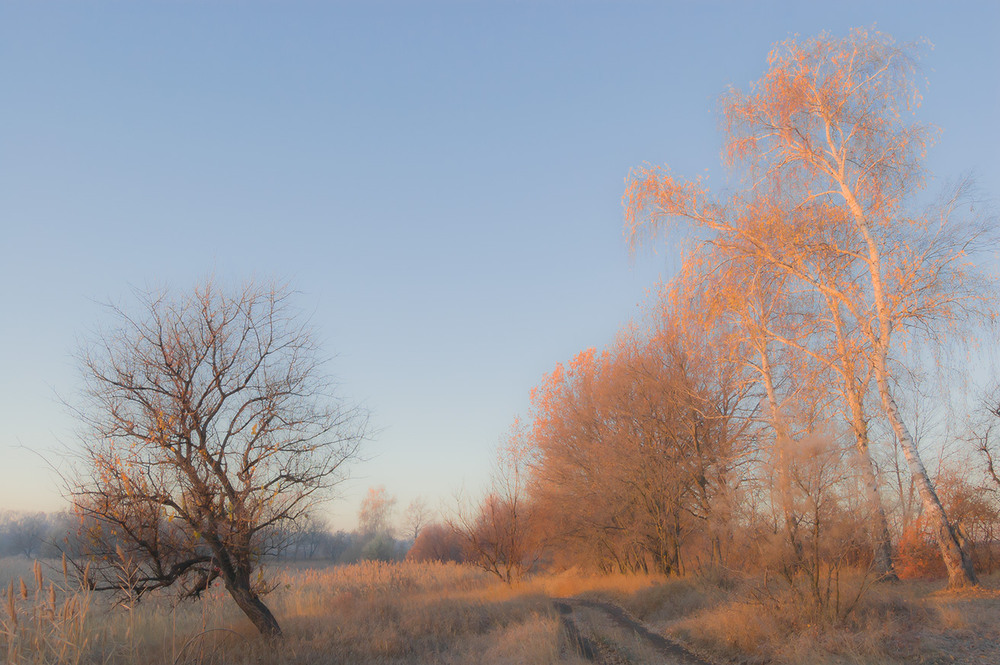 Фотографія *** / Евгений Шамай / photographers.ua
