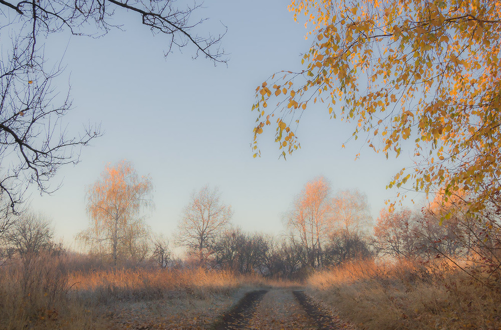 Фотографія *** / Евгений Шамай / photographers.ua