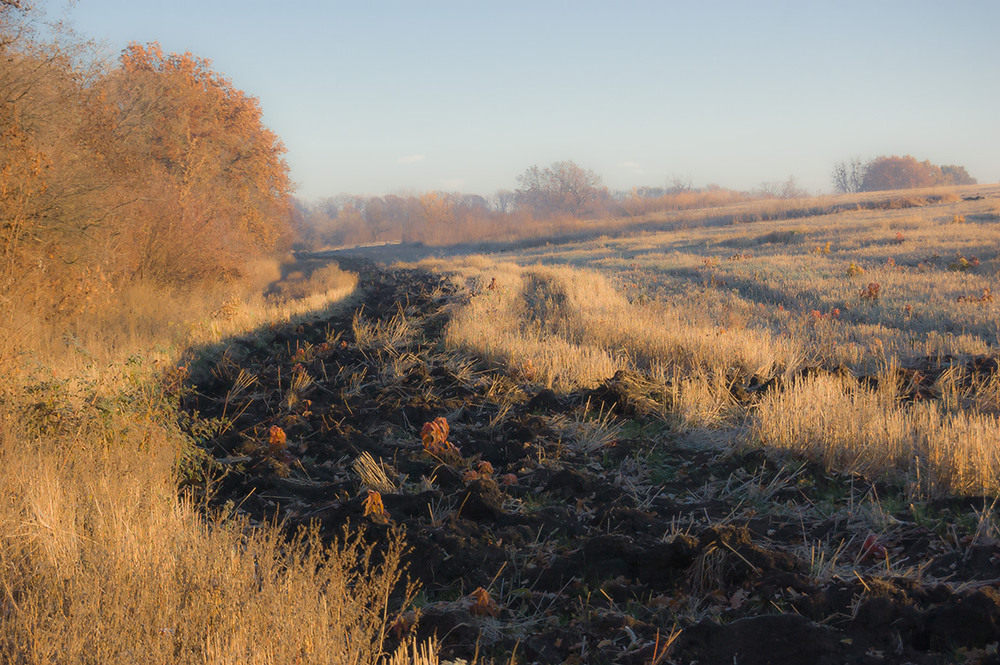 Фотографія *** / Евгений Шамай / photographers.ua