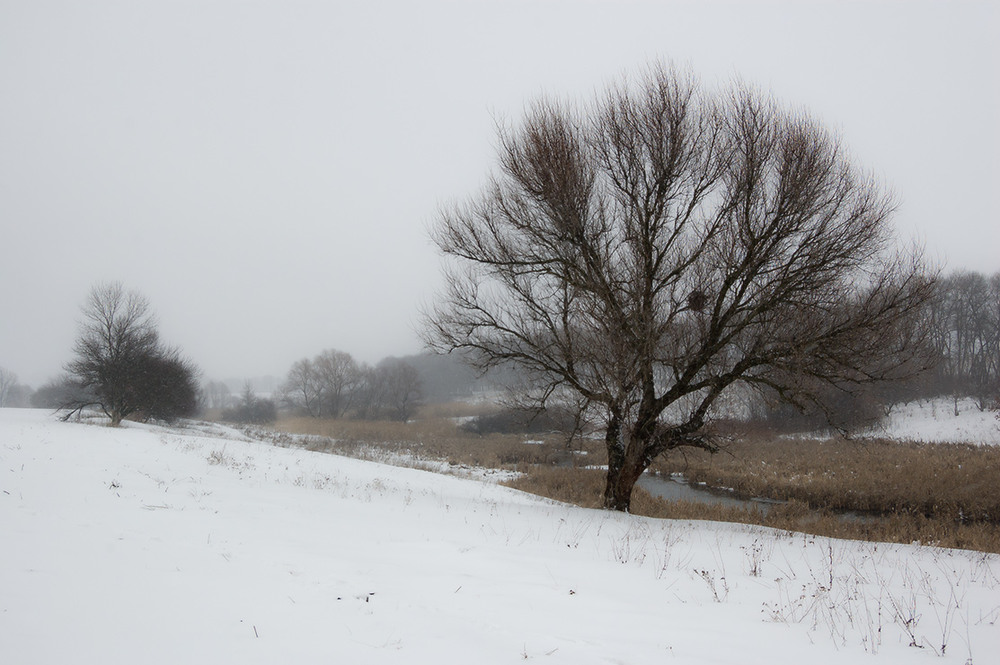 Фотографія *** / Евгений Шамай / photographers.ua