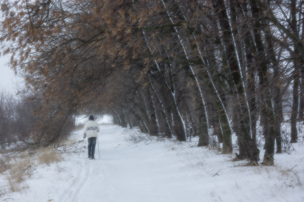 Фотографія *** / Евгений Шамай / photographers.ua