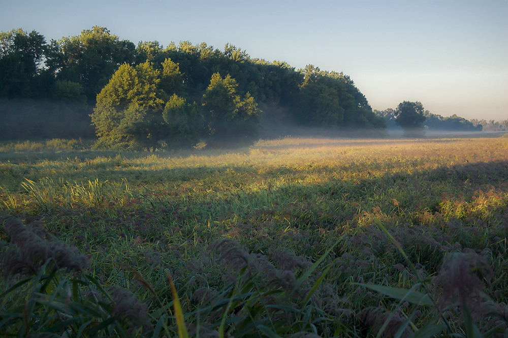 Фотографія *** / Евгений Шамай / photographers.ua